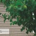 Сайдинг Ю-Пласт TIMBERBLOCK Пихта (Тимберблок) Cахалинская купить в Шахунье