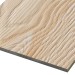 Фиброцементные панели FCSPRO Decor Wood Лиственница купить в Шахунье