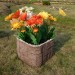 Цветник КАНЬОН купить в Шахунье