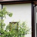 Фасадная панель Grand Line Сланец молочный купить в Шахунье